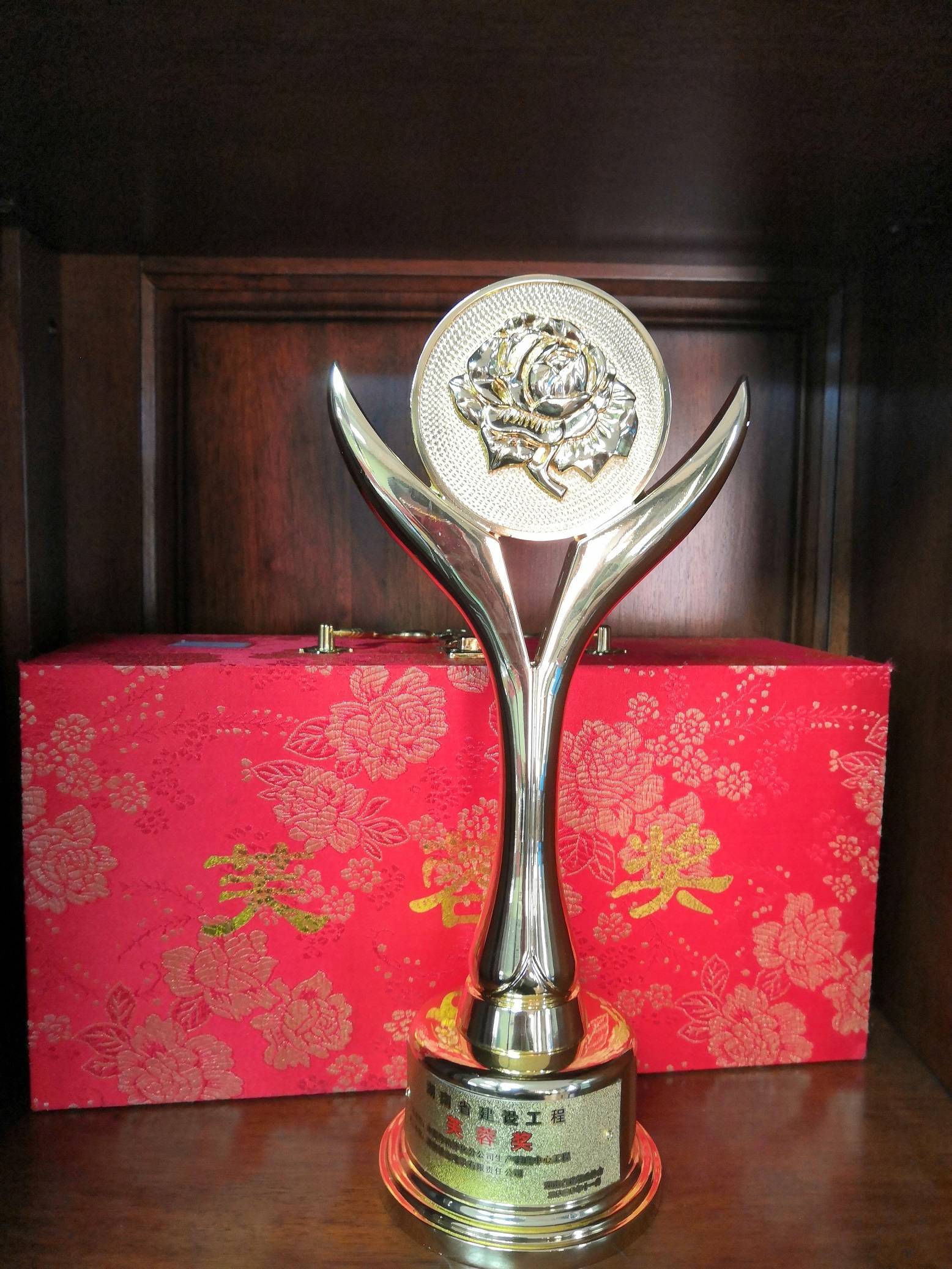 杯1